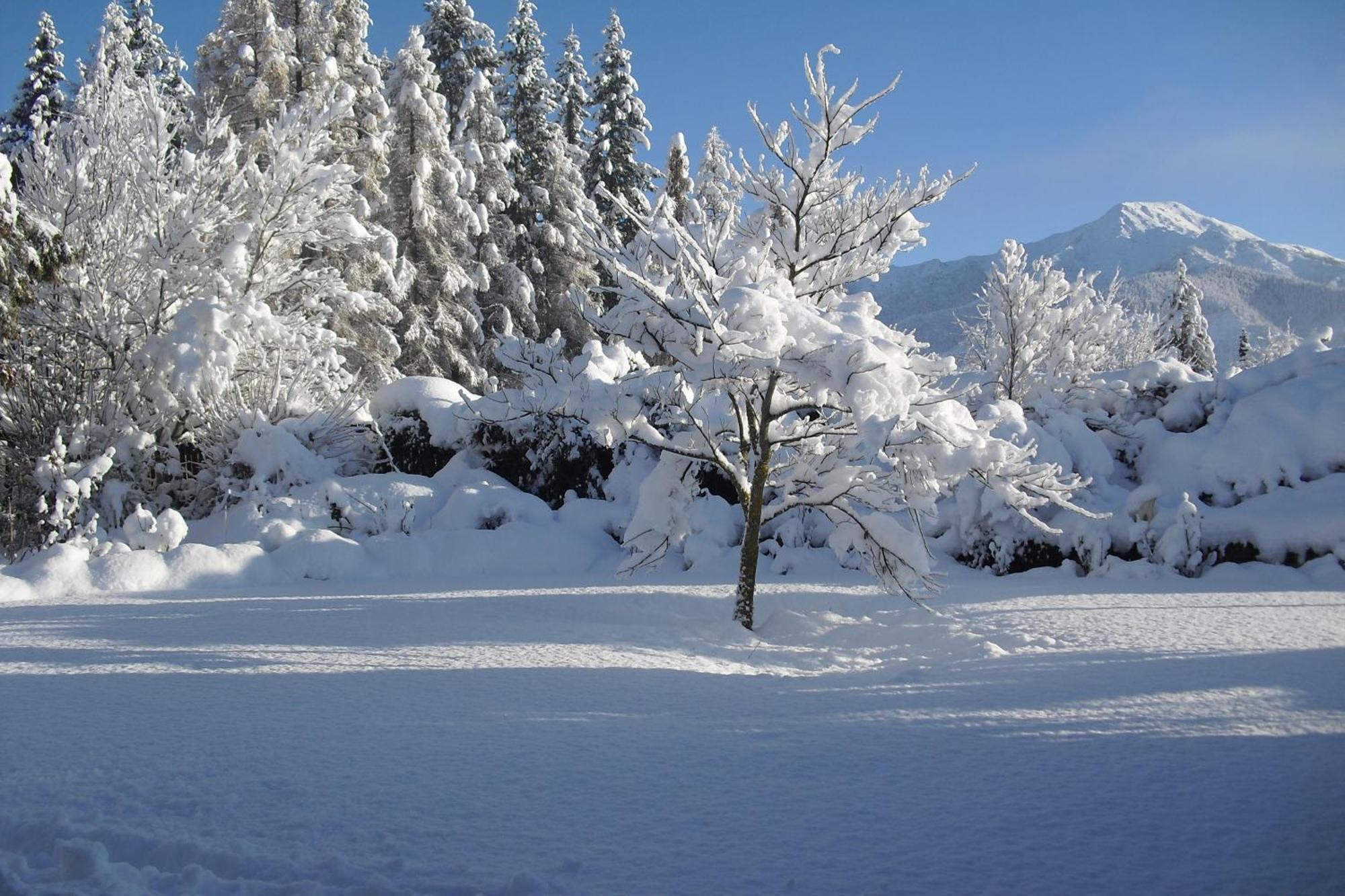 Marchmont Gardens Bed & Breakfast Hanmer Springs Bagian luar foto