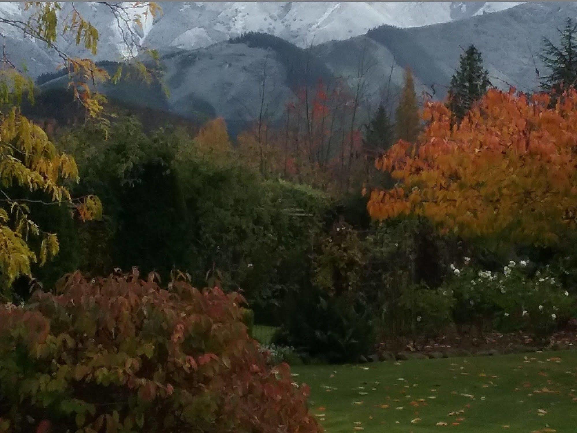 Marchmont Gardens Bed & Breakfast Hanmer Springs Bagian luar foto