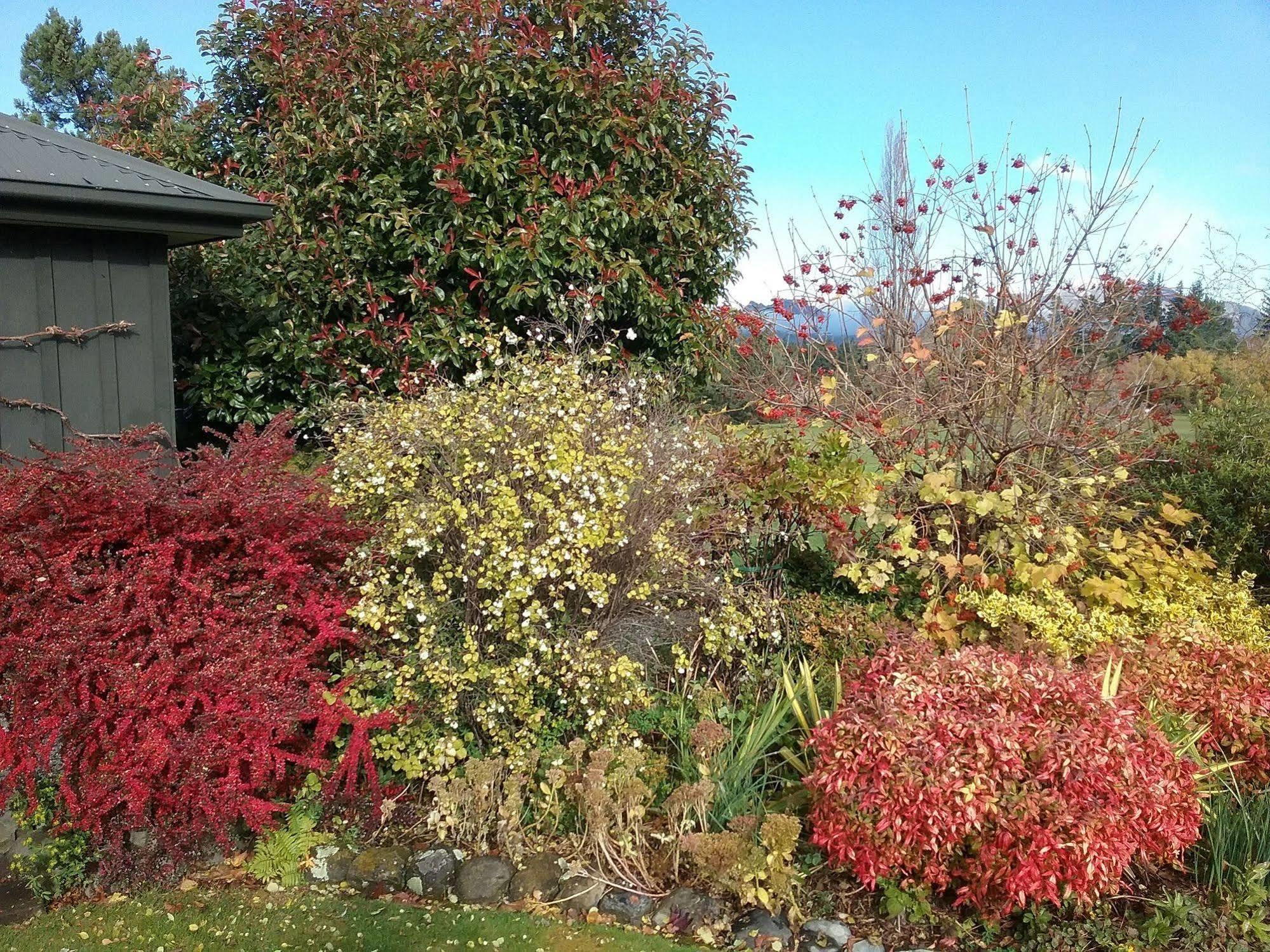Marchmont Gardens Bed & Breakfast Hanmer Springs Bagian luar foto