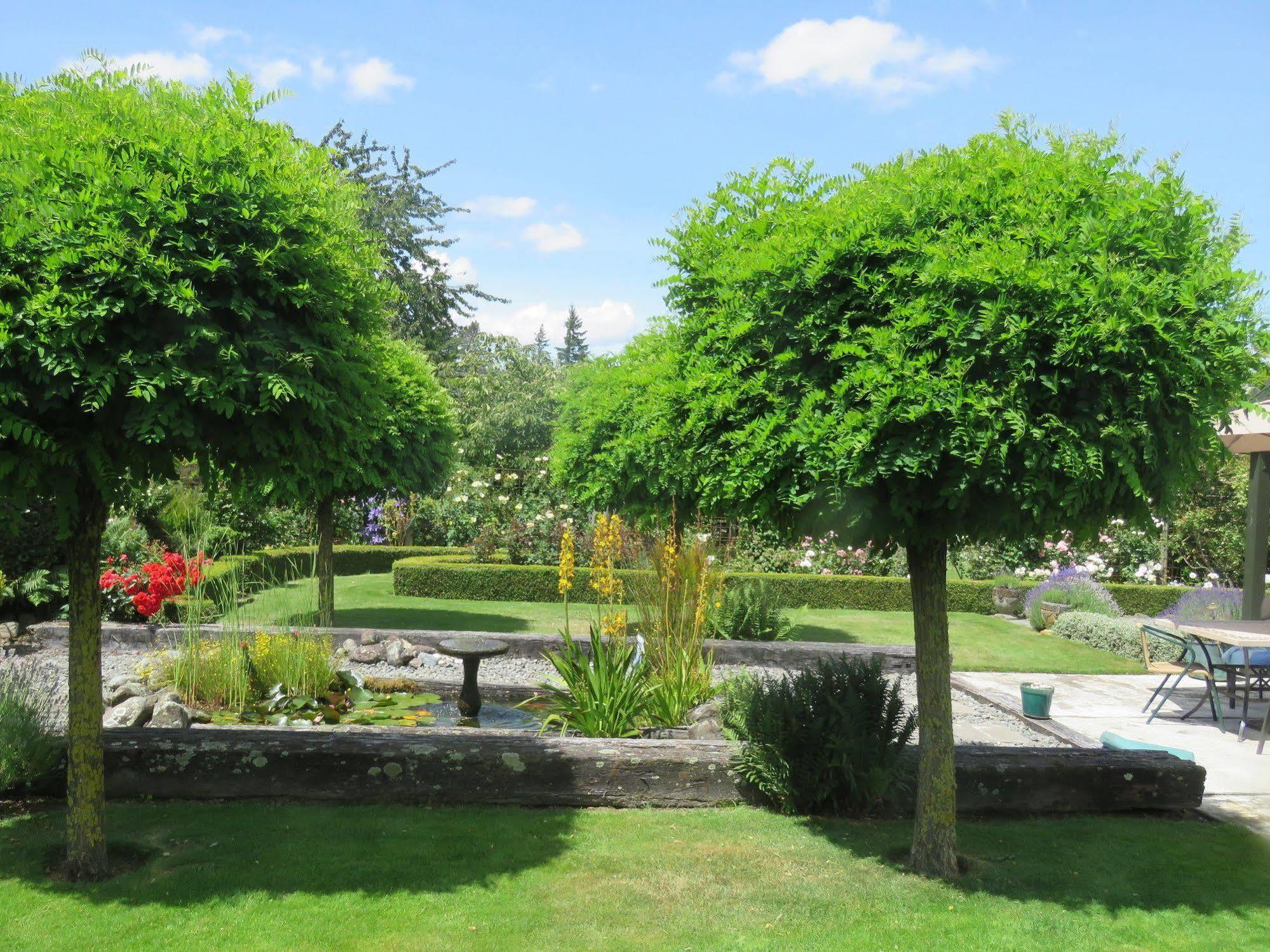 Marchmont Gardens Bed & Breakfast Hanmer Springs Bagian luar foto