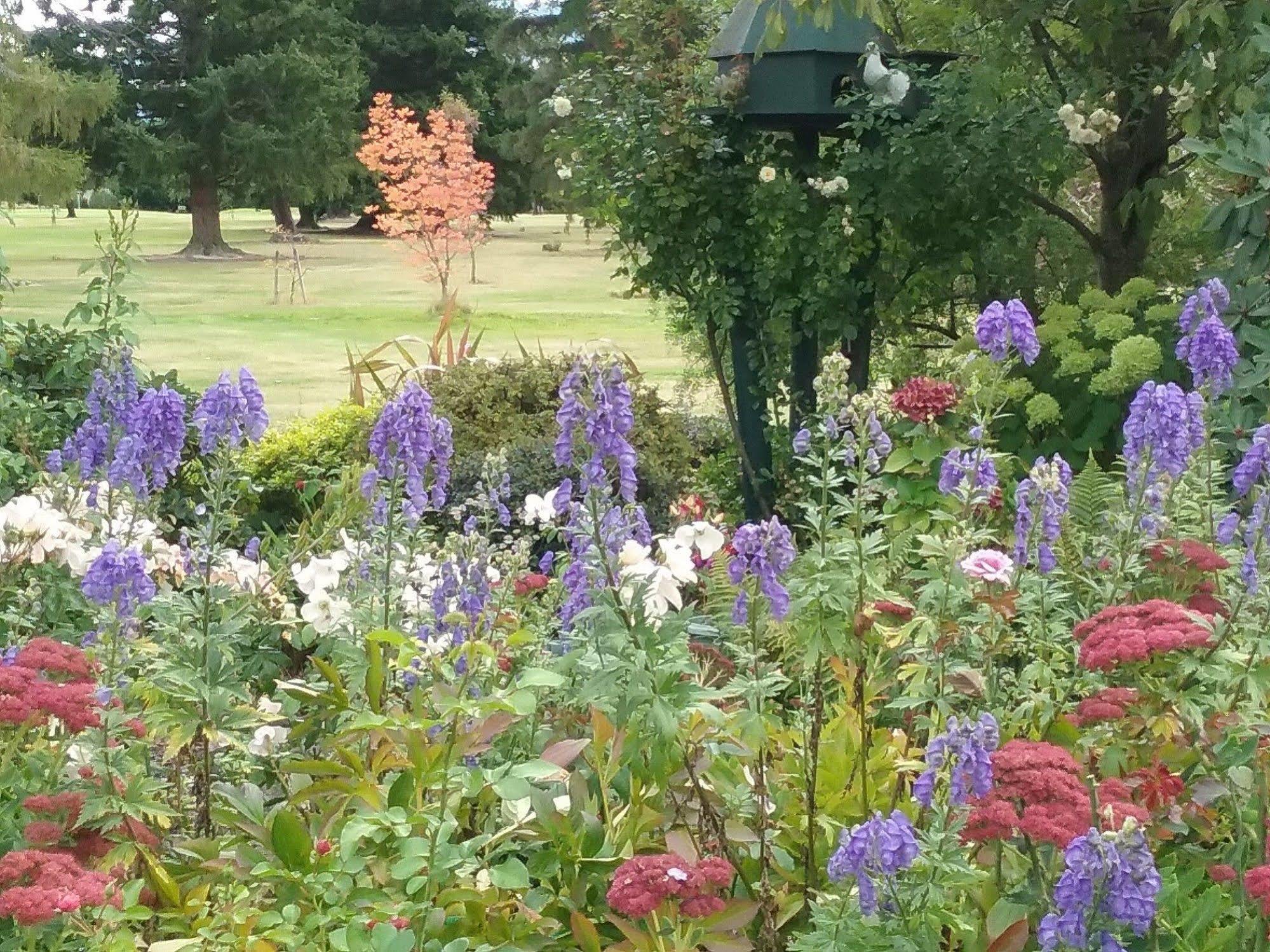 Marchmont Gardens Bed & Breakfast Hanmer Springs Bagian luar foto
