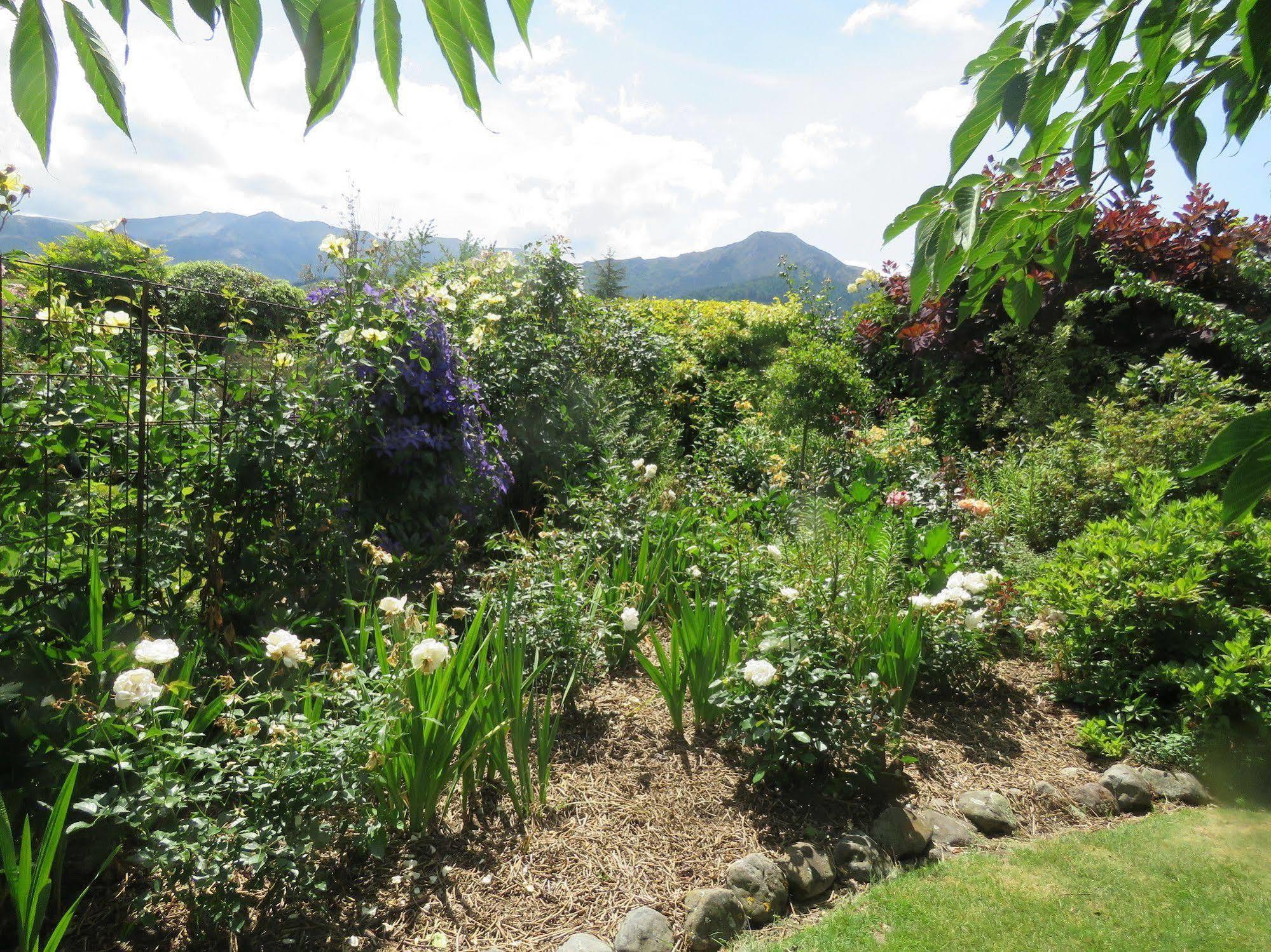 Marchmont Gardens Bed & Breakfast Hanmer Springs Bagian luar foto